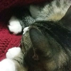 Meet your Posher, Brianna